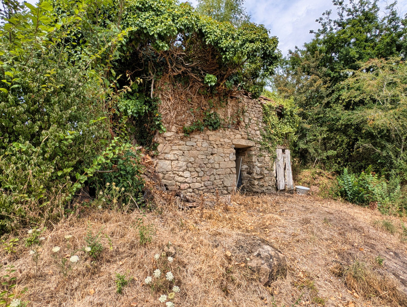 French property for sale in Les Grands-Chézeaux, Haute-Vienne - €119,355 - photo 10