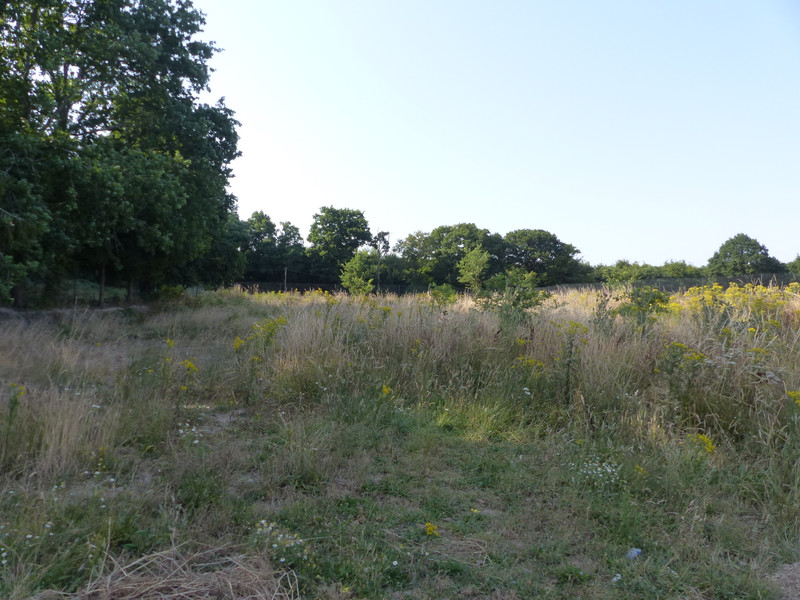 French property for sale in Plémet, Côtes-d'Armor - photo 10