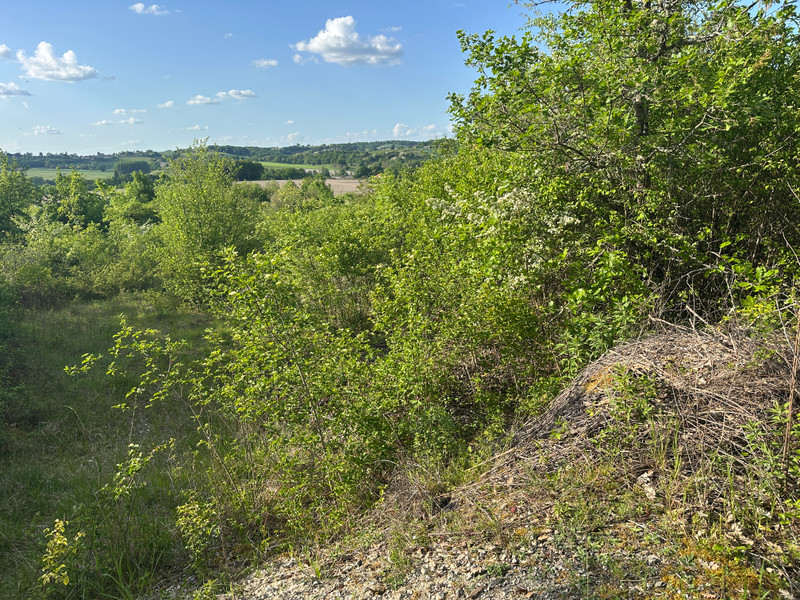 French property for sale in Bertric-Burée, Dordogne - €16,600 - photo 6