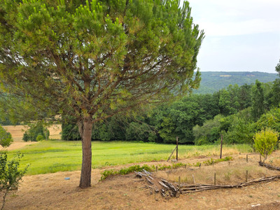 French property for sale in Plazac, Dordogne - €453,000 - photo 5
