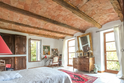 Provencal 'Mas' - spacious, bright and fully renovated. Set in 1 HA of calm grounds with pool, near Ales.