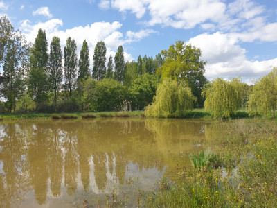 Lacs à vendre à Grez-en-Bouère, Mayenne, Pays de la Loire, avec Leggett Immobilier