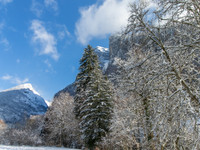 Propriété à vendre à Samoëns, Haute-Savoie - 598 000 € - photo n°8