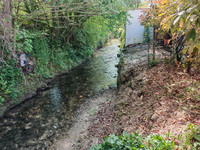 Propriété à vendre à Montaigu-de-Quercy, Tarn-et-Garonne - 330 000 € - photo n°10