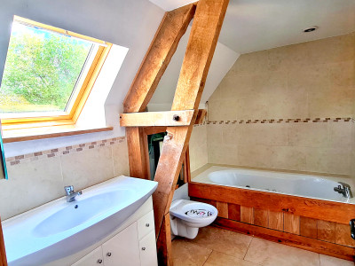 French property for sale in Châtillon-sur-Colmont, Mayenne - €250,000 - photo 5
