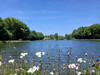 French property for sale in Saint-Pardoux-Corbier, Corrèze - €369,000 - thumbnail 14