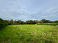 Terrain à vendre à Saint-Nic, Finistère - 91.800 € - photo 2