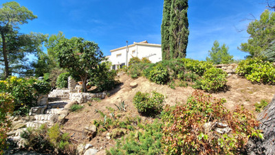 French property for sale in Pouzols-Minervois, Aude - €239,000 - photo 13