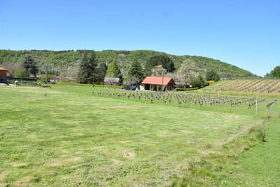 French property for sale in Anglars-Juillac, Lot - €37,500 - photo 9