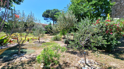 French property for sale in Peyriac-Minervois, Aude - €720,000 - photo 13