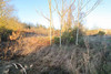 French property for sale in Asnières-la-Giraud, Charente-Maritime - €83,930 - thumbnail 9