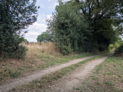 French property for sale in Les Salles-Lavauguyon, Haute-Vienne - €21,500 - photo 5