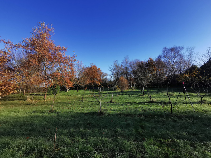 French property for sale in La Gacilly, Morbihan - €370,900 - photo 4