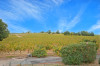 French property for sale in Saint-Sernin, Lot-et-Garonne - €2,650,000 - thumbnail 9