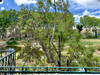 French property for sale in Bize-Minervois, Aude - €121,000 - thumbnail 9