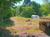 French property for sale in Gros-Chastang, Corrèze - €130,800 - thumbnail 9