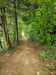 French property for sale in La Chaux, Orne - €692,000 - thumbnail 14
