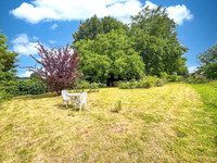 Propriété à vendre à Saint-Paul-en-Gâtine, Deux-Sèvres - 77 000 € - photo n°5
