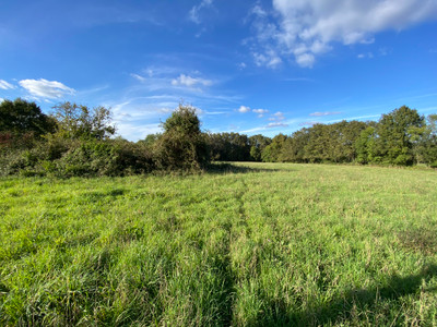 French property for sale in Écuras, Charente - €95,000 - photo 9