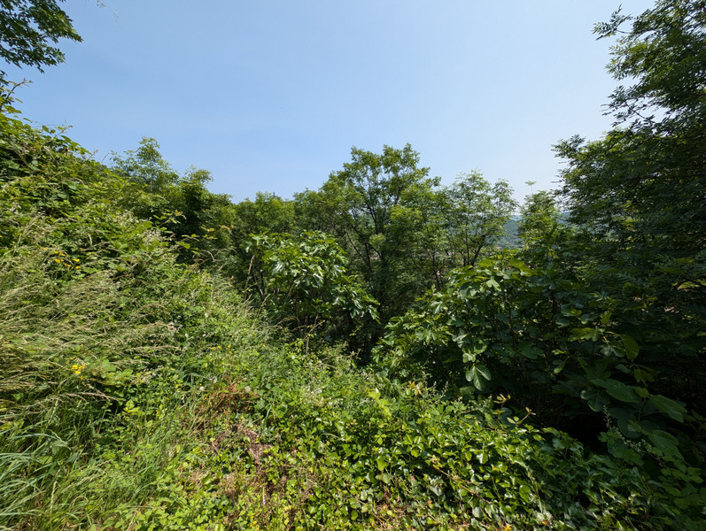 French property for sale in Labastide-Rouairoux, Tarn - €31,600 - photo 9