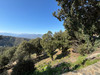 French property for sale in Glorianes, Pyrénées-Orientales - €521,000 - thumbnail 9