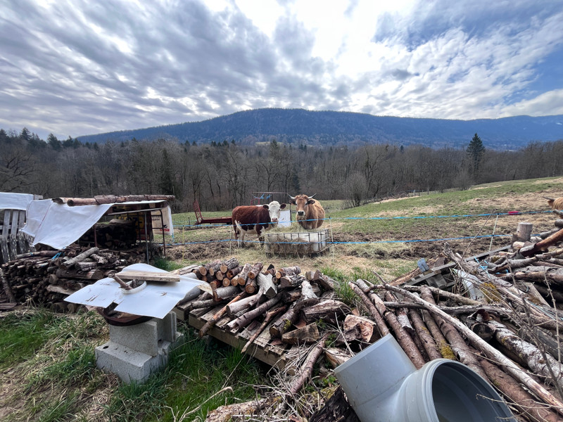 French property for sale in Saint-François-de-Sales, Savoie - €220,000 - photo 10