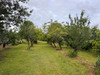French property for sale in Montmoreau, Charente - €172,800 - thumbnail 9