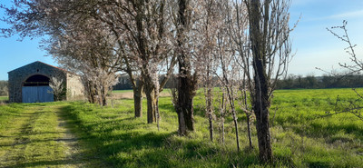 French property for sale in Genneton, Deux-Sèvres - €25,000 - photo 9