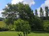 French property for sale in Bassoues, Gers - €340,000 - thumbnail 14