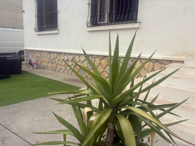 house for sale in Aude