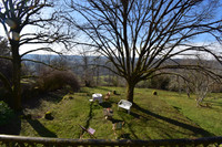Propriété à vendre à Yssandon, Corrèze - 317 790 € - photo n°5