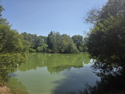 French property for sale in Armaillé, Maine-et-Loire - €461,100 - photo 2