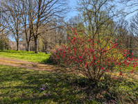 Propriété à vendre à Longny les Villages, Orne - 160 000 € - photo n°9