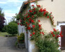French property for sale in Sauzé-Vaussais, Deux-Sèvres - €327,540 - thumbnail 9