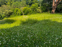 Terrain à vendre à Saint-Martin-de-Seignanx, Landes - 224.500 € - photo 2