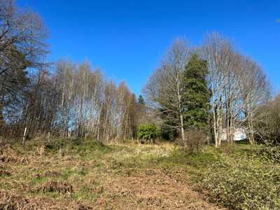 Terrain à vendre à La Coquille, Dordogne, Aquitaine, avec Leggett Immobilier