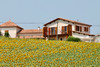 French property for sale in Aubeterre-sur-Dronne, Charente - €620,100 - thumbnail 9