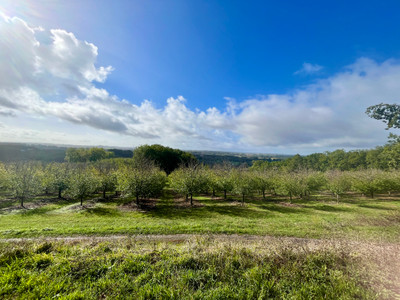 French property for sale in Lauzun, Lot-et-Garonne - €539,999 - photo 9