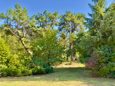 French property for sale in Plestin-les-Grèves, Côtes-d'Armor - €567,000 - photo 7