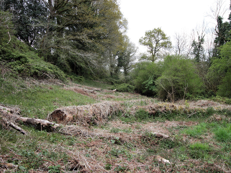Terrain à vendre à Kergloff, Finistère - 16 500 € - photo 1 Terrain à vendre à Kergloff, Finistère - 16 500 € - photo 1