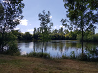 Lacs à vendre à Saint-Germain-de-Longue-Chaume, Deux-Sèvres - 370 000 € - photo 8
