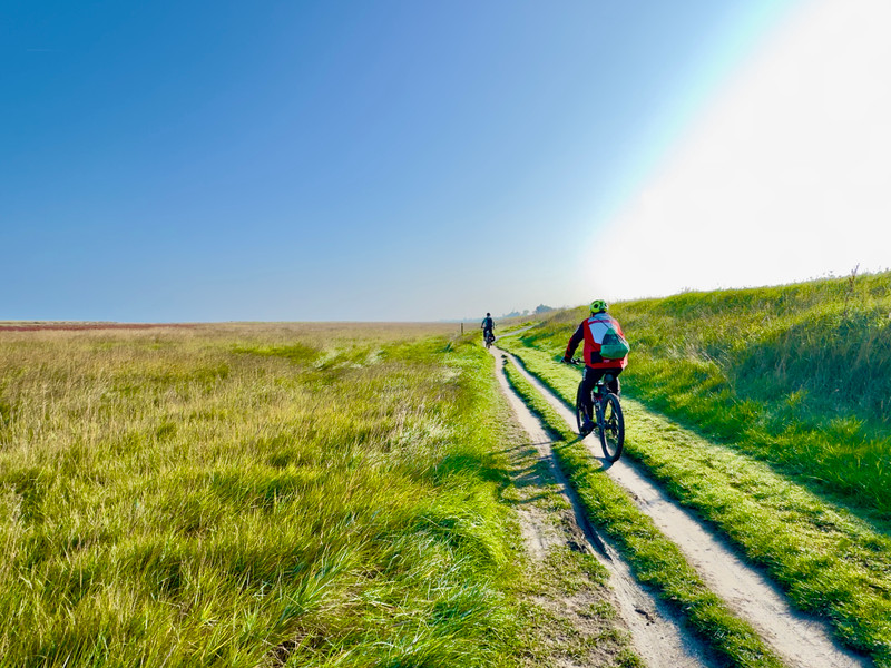 French property for sale in Cherrueix, Ille-et-Vilaine - €445,000 - photo 8