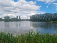 Lacs à Connerré, Sarthe - photo 5
