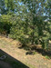 French property for sale in Saint-Flour, Cantal - €371,000 - thumbnail 9