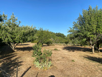 Maison à vendre à Cellefrouin, Charente - 194.400 € - photo 3