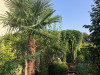 French property for sale in Toulouse, Haute-Garonne - €245,920 - thumbnail 9