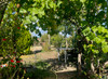 French property for sale in Saint-Léger-de-Montbrillais, Vienne - €155,000 - thumbnail 14