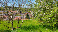 Maison à vendre à Sarlat-la-Canéda, Dordogne - 315.000 € - photo 3