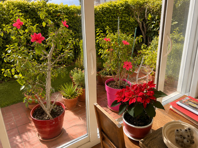 French property for sale in Antibes, Alpes-Maritimes - €214,800 - photo 2