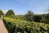 French property for sale in Saint-Paulet-de-Caisson, Gard - €449,000 - thumbnail 9